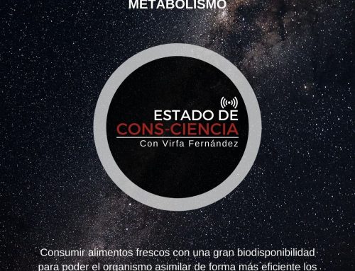 EDC-E19 • LOS ALIMENTOS QUE FAVORECEN TU METABOLISMO